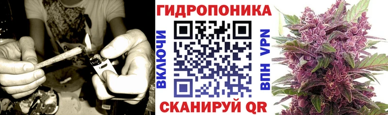 Цена Лабытнанги Кокаин  Амфетамин  Гашиш  Псилоцибиновые грибы  Канабис  МЕФ  A-PVP 